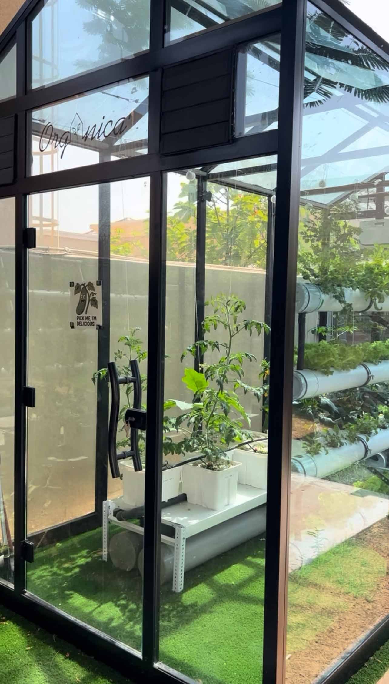 Glass Greenhouse - Cover Image 2