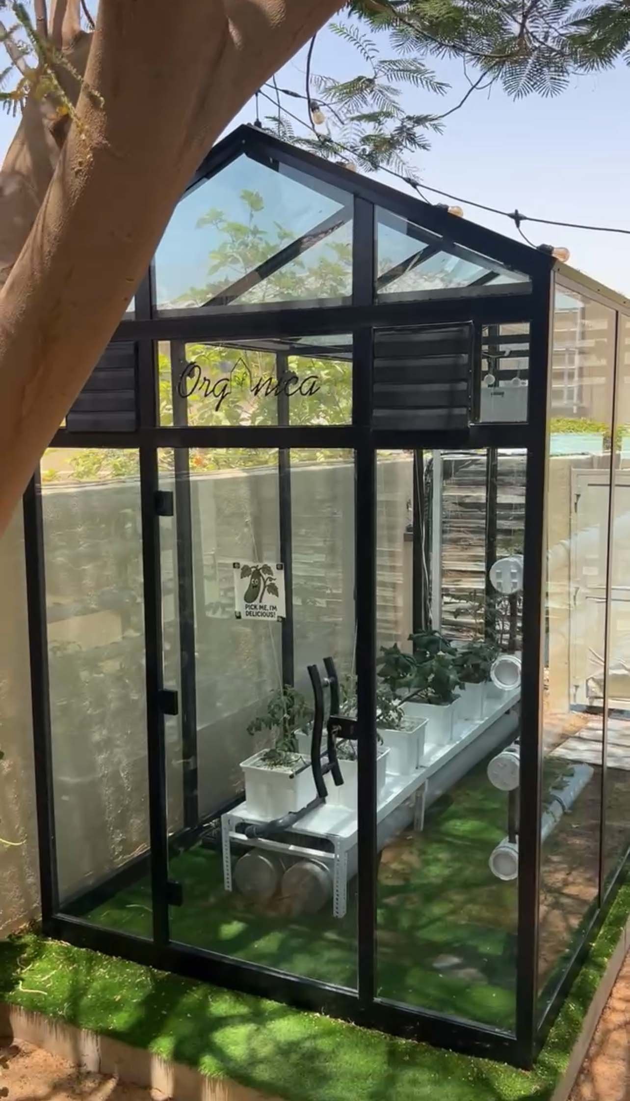 Glass Greenhouse - Cover Image 3