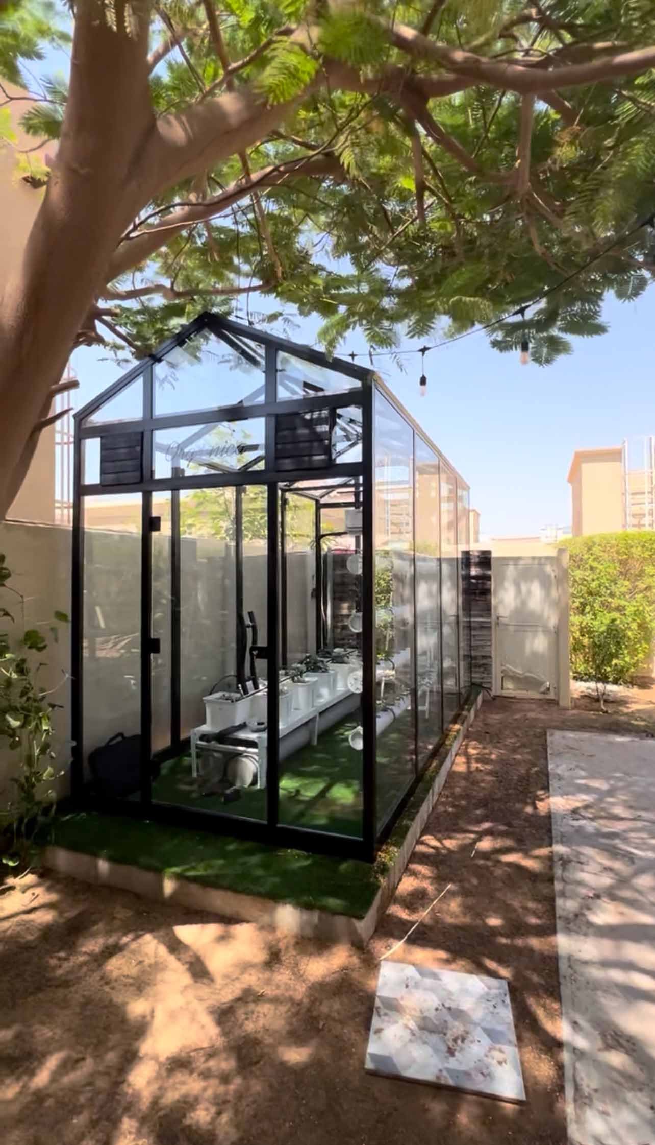 Glass Greenhouse - Cover Image 4