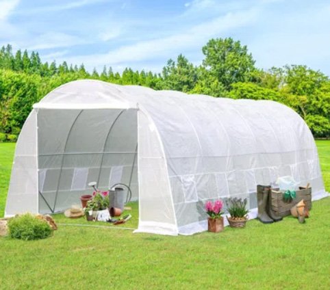 Plastic Greenhouse - Cover Image 2