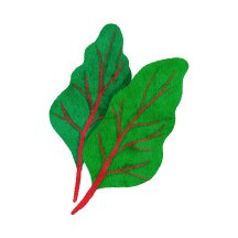 Chard