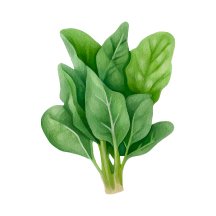 Spinach